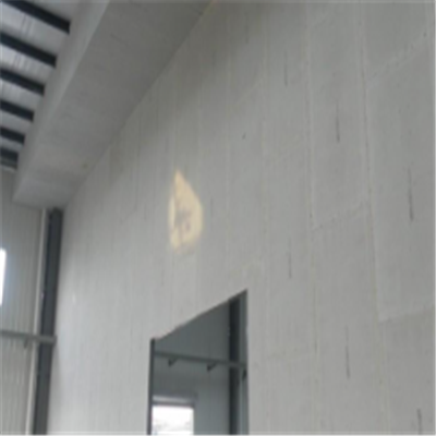 会同宁波ALC板|EPS加气板隔墙与混凝土整浇联接的实验研讨